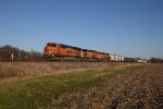 BNSF 6308